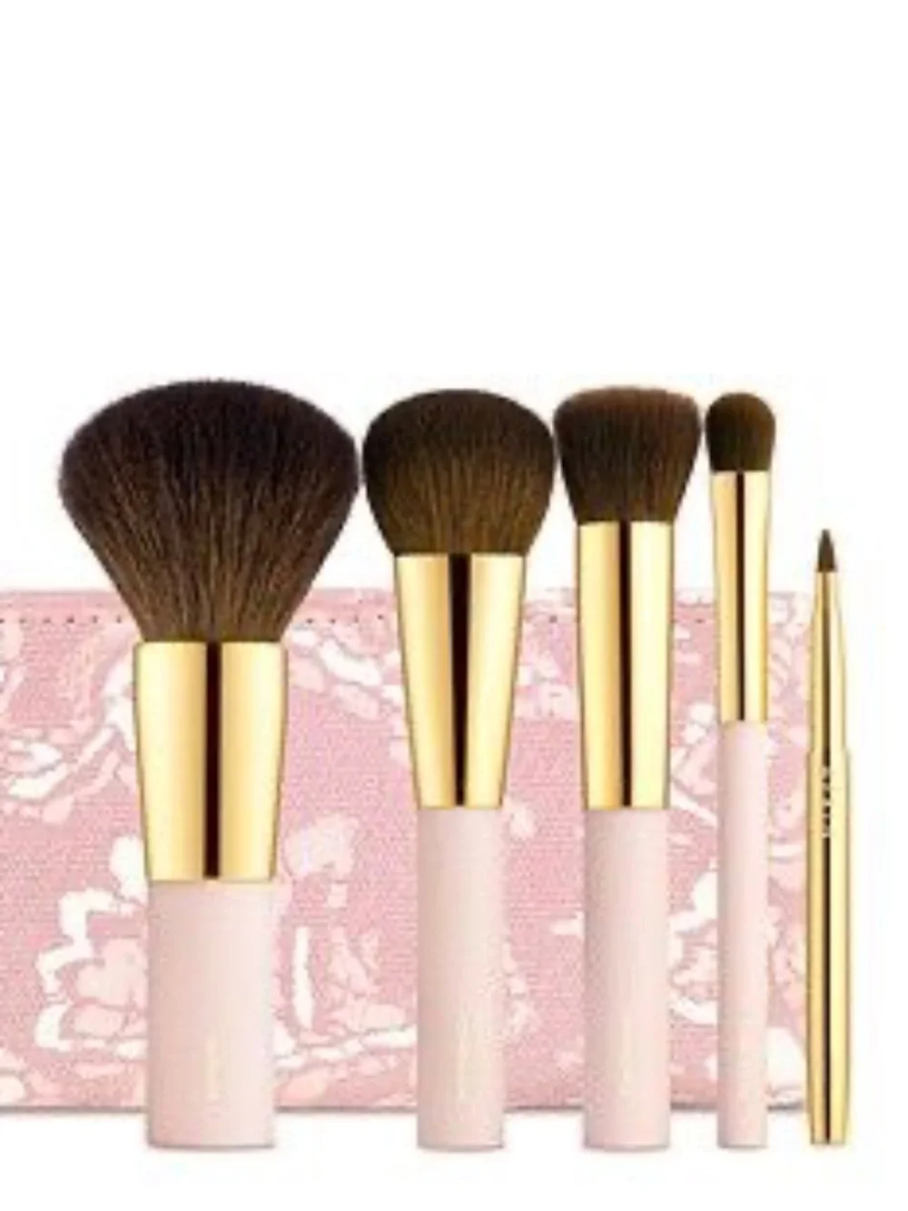 AERIN NIB Limited Edition Brush Essentials Set - Pink Rose